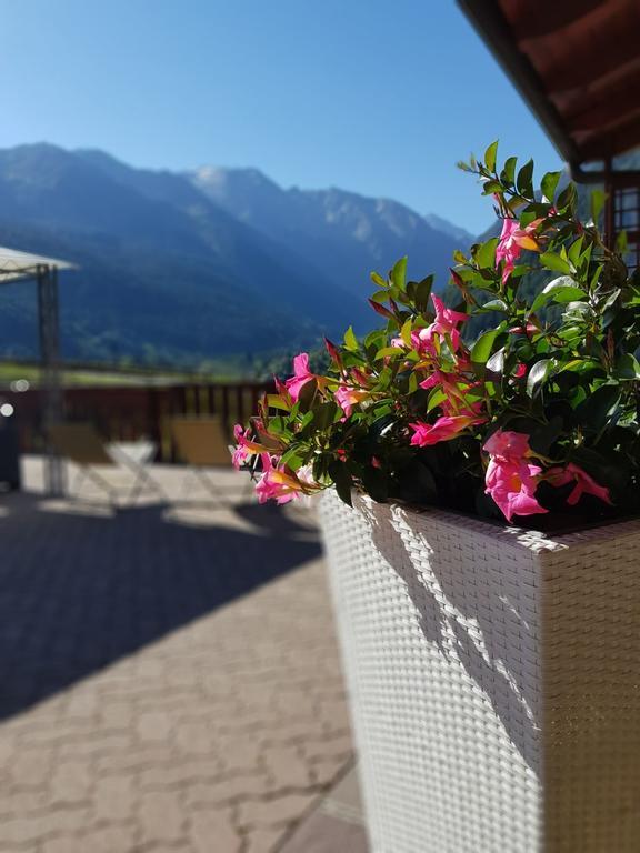 Hotel Veduta Dell'Adamello Temù المظهر الخارجي الصورة